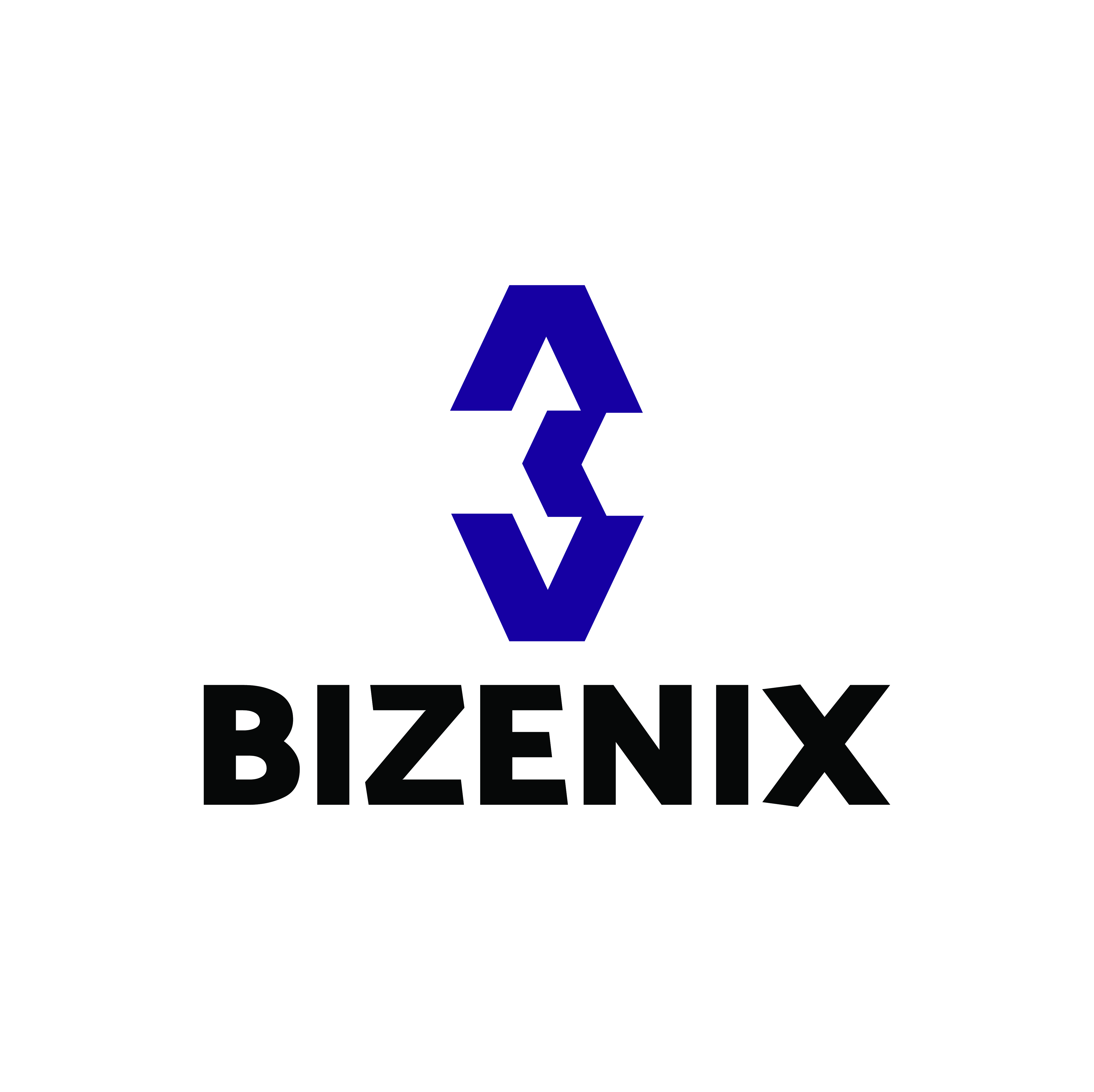 Bizenix Logo